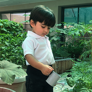 Sustainability Sphere